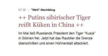 Screenshot Putins Tiger